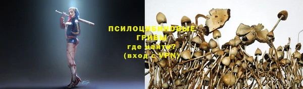 MDMA Алексеевка