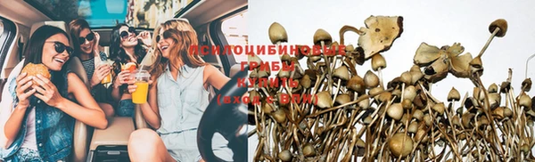 шишки Алзамай
