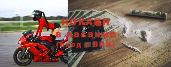 шишки Алзамай